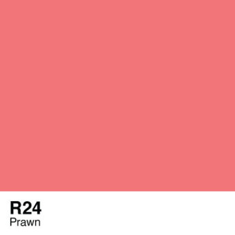 COPIC VARIOUS INK - R-24