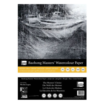 BAOHONG СКИЦНИК THE MASTER`CHOICE ROUGH 300 ГР 30/30