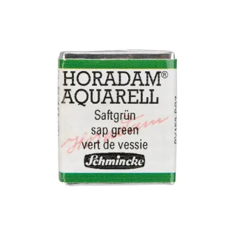 SCHMINCKE АКВАРЕЛНА БОЯ H/PAN HORADAM SAP GREEN