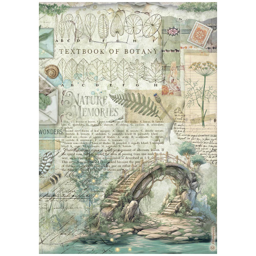STAMPERIA HERBARIUM SILVAE DECOUPAGE RICE PAPER A4 - DFSA41079