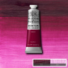 W&N OIL PAINT WINTON 37 ML. - MAGENTA