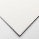 CLAIREFONTAINE ХАРТИЯ PASTELMAT 50/70 СМ 360 ГР - WHITE