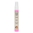 DAILY ART INK SPRAY 30 ML VINTAGE - ЦИКЛАМА