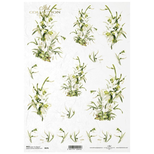 ITD COLLECTION DECOUPAGE RICE PAPER A4 - R0676