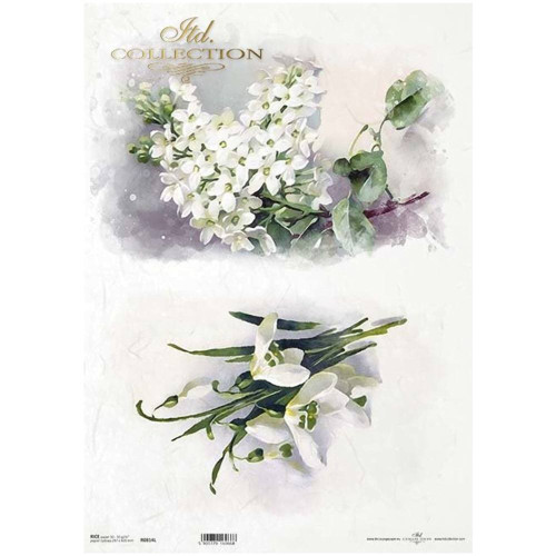 ITD COLLECTION DECOUPAGE RICE PAPER A3 - R0814L