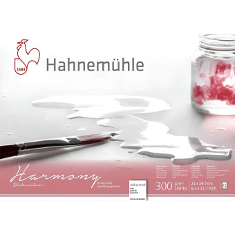 HAHNEMUHLE СКИЦНИК HARMONY 21/29,7 СМ, 300 ГР, 12 Л.