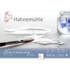 HAHNEMUHLE СКИЦНИК HARMONY 21/29,7 СМ, 300 ГР, 12 Л.