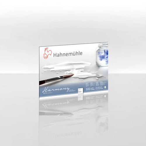 HAHNEMUHLE СКИЦНИК HARMONY 21/29,7 СМ, 300 ГР, 12 Л.