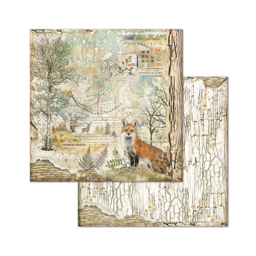 STAMPERIA DESIGNER CARDSTOCK 30.5/30.5 CM - SBB656