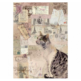 STAMPERIA DECOUPAGE RICE PAPER A4 - DFSA4377