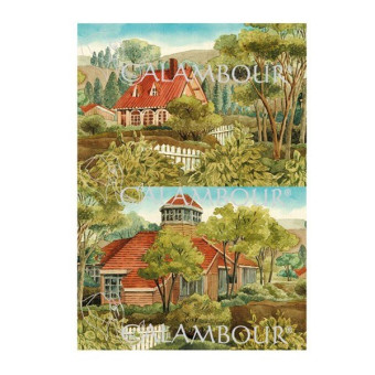 CALAMBOUR DECOUPAGE PAPER 48/33 CM - RP 56