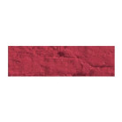 CARAN D'ACHE OIL PASTELS NEOPASTEL INDIAN RED