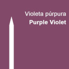 CARAN D'ACHE WATERCOLOUR PENCILS PRISMALO PURPLE VIOLET