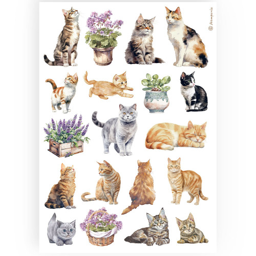 STAMPERIA DECOUPAGE RICE PAPER A4 - DFSA4887