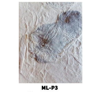 NEPAL HANDMADE PAPER ML-P3 120 GSM, 50/75