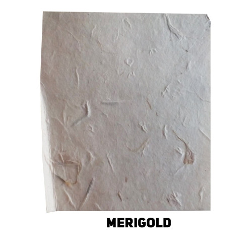 NEPAL HANDMADE PAPER MERIGOLD 60 GSM, 50/75