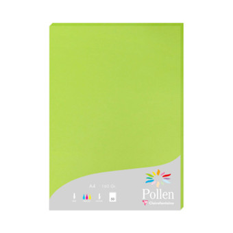 CLAIREFONTAINE ХАРТИЯ A4 210 ГР. - ИНТЕНЗИВНО ЗЕЛЕНО