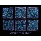 HELEN BREIL DESIGNS ГУМЕН ПЕЧАТ- AFTER THE RAIN