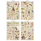 STAMPERIA ALL AROUND JUNK JOURNAL - SBJK20