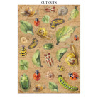 STAMPERIA ALL AROUND JUNK JOURNAL ФОКУС ТОЧКИ 8 ГРЪБЧЕТА И 8 СТРАНИЦИ С ИЗРЕЗКИ - SBJKS02