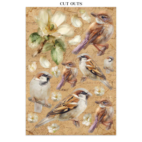 STAMPERIA ALL AROUND JUNK JOURNAL ФОКУС ТОЧКИ 8 ГРЪБЧЕТА И 8 СТРАНИЦИ С ИЗРЕЗКИ - SBJKS02