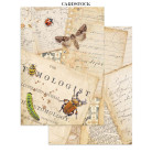 STAMPERIA ALL AROUND JUNK JOURNAL ФОКУС ТОЧКИ 8 ГРЪБЧЕТА И 8 СТРАНИЦИ С ИЗРЕЗКИ - SBJKS02