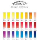 W&N OIL PAINT WINTON 37 ML. - GRAY PAYNE S