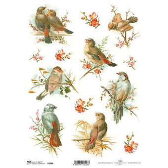 ITD COLLECTION DECOUPAGE RICE PAPER A4 - R1069