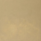 W&N OIL PAINT STICK 50 ML - BUFF TITANIUM