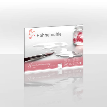 HAHNEMUHLE СКИЦНИК HARMONY 29,7/42 СМ, 300 ГР, 12 Л.