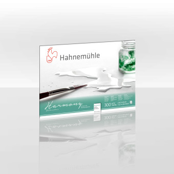 HAHNEMUHLE СКИЦНИК HARMONY 29,7/42 СМ, 300 ГР, 12 Л.