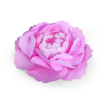 SIZZIX FRAMELITS ЩАНЦИ ЗА ИЗРЯЗВАНЕ - LARGE PEONY