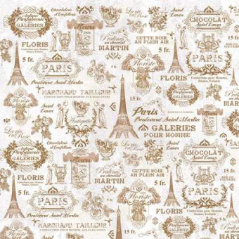 STAMPERIA DECOUPAGE RICE PAPER 50/50 - DFT206