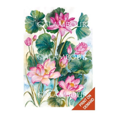 CALAMBOUR DECOUPAGE PAPER 48/33 CM - RP 54