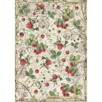 STAMPERIA DECOUPAGE RICE PAPER A4 - DFSA4429