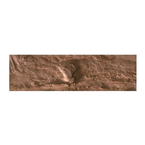 CARAN D'ACHE OIL PASTELS NEOPASTEL CINNAMON