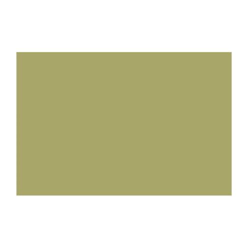 CARAN D'ACHE PASTEL PENCILS - LIGHT RESEDA