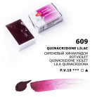 LENINGRAD WATERCOLOR PAINT 2.5 ML. - RED VIOLET