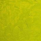 BLOCKX МАСЛЕНА БОЯ GOLDEN GREEN 35ML 213562BXC