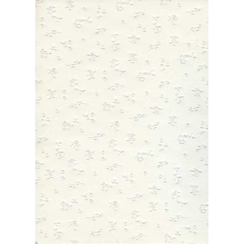 FOLIA PREGE CARTON 50/70 220 GR. WHITE ORNAMENT