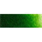 OLD HOLLAND МАСЛЕНА БОЯ 40 МЛ. - SAPGREEN LAKE EXTRA