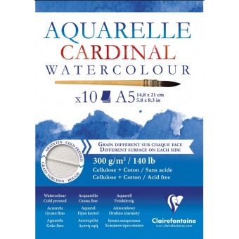 CLAIREFONTAINE СКИЦНИК CARDINAL COLD PRESSED A5 300ГР. 10Л
