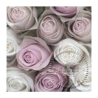 SAGEN VINTAGE NAPKINS FOR DECOUPAGE 33/33 CM - 80014