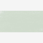 SCHMINCKE СУХ ПАСТЕЛ GREENISH GREY 2, O 17094079