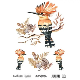 CADENCE TRANSFER DECORATION FOR TEXTILES 25X35CM - BRFT-06