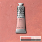 W&N OIL PAINT WINTON 37 ML. - SKIN TONE