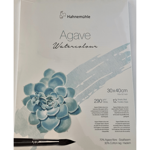 HAHNEMUHLE AGAVE WATERCOLOUR 290G, 30/40CM, 12L.