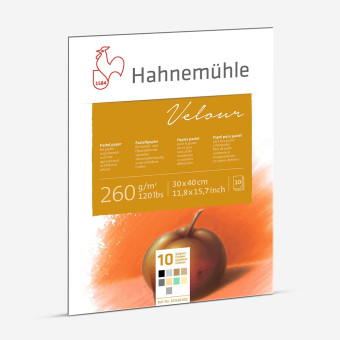 HAHNEMUHLE СКИЦНИК VELOUR 260 GSM, 30/40CM, 10 ЛИСТА