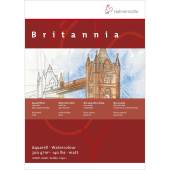 HAHNEMUHLE СКИЦНИК BRITANIA MATT 300ГР, 24/32СМ, 12Л.