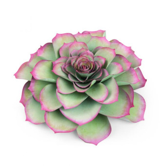 SIZZIX FRAMELITS ЩАНЦИ ЗА ИЗРЯЗВАНЕ - LARGE SUCCULENT